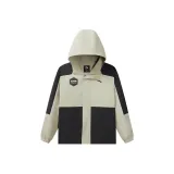 Сосново-серый зеленый