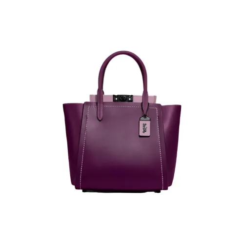 COACH Troupe Женские Бойзенберри Mold Цвет