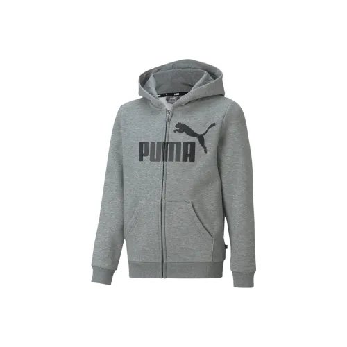 PUMA Толстовка Essentials Детская одежда Sweat À Capuche Essentiels Серый Детский