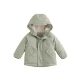 Светло-зеленый