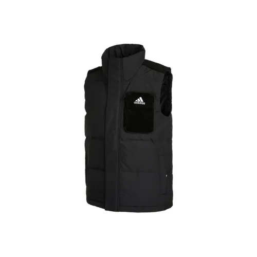 Adidas Однотонный Воротник-стойка Молния Логотип бренда Принт Подростки