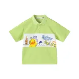 Авокадо зеленый