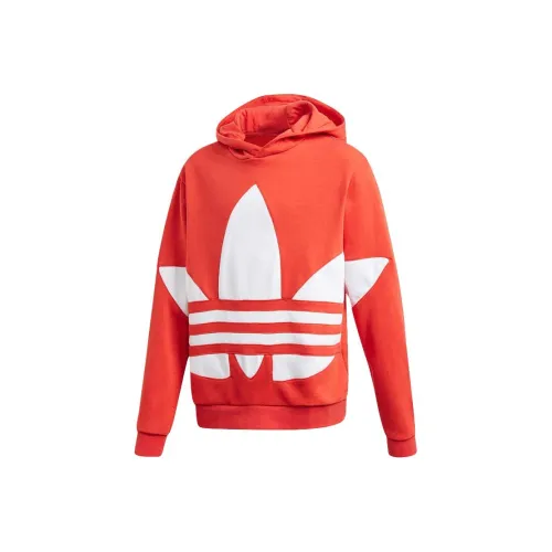 Adidas Originals Свитшот Оранжевый Подростки