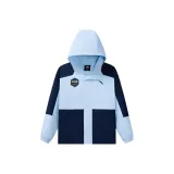 Дальняя лазурь