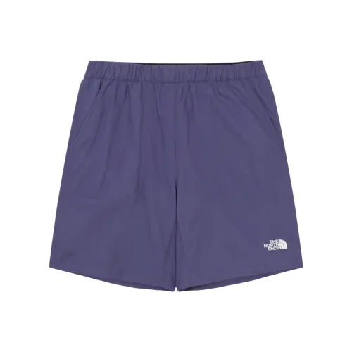 The North Face SS25 Повседневные шорты Мужские Темно-фиолетовые