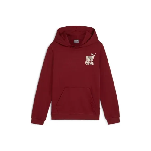 PUMA ESS+ MID 90s FW24 Толстовка Темно-красный Для детей 3-7 лет