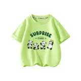 DAN15332 Флуоресцентный зеленый