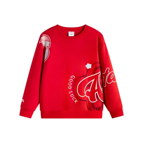 Antakids Толстовка Гематитовый Красный Подростки