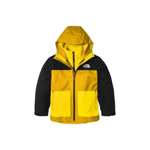 Детская лыжная одежда The North Face для детей
