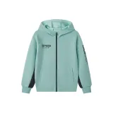 Порт Серый Зеленый