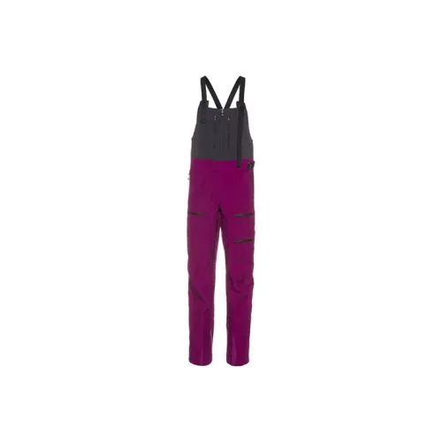 The North Face Многоцветные Женские Лыжные Брюки