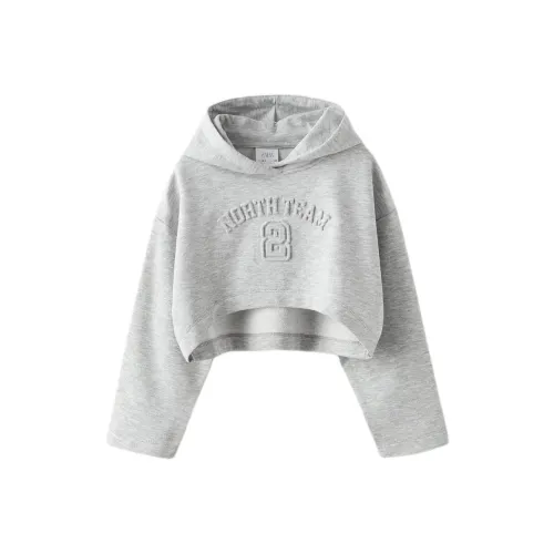 ZARA Зебровый принт Серый Kids Свитшоты