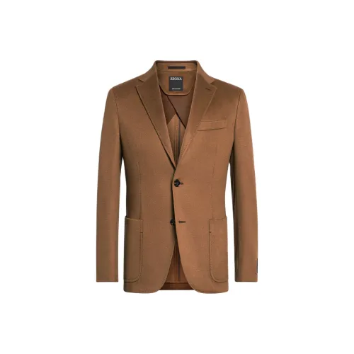 Ermenegildo Zegna Коричневый Мужской Деловой костюм