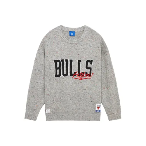 Lee Школьный возраст Свитеры