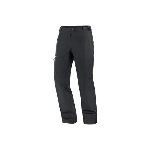 SALOMON SS25 Лыжные брюки Женские Темно-черный