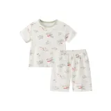 Серый Зеленый