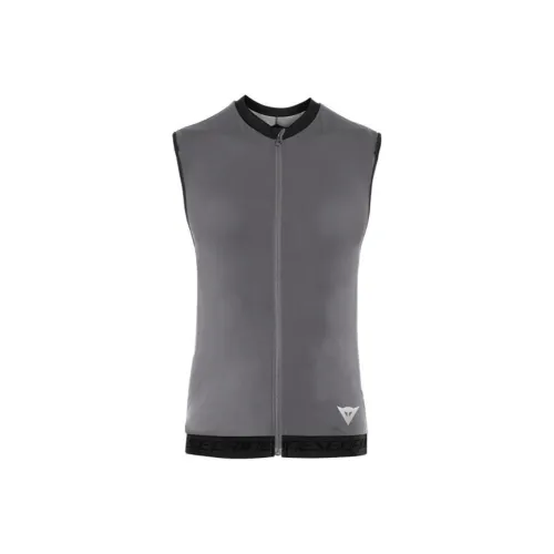 DAINESE SKI Топ Женский Серебряный Серый