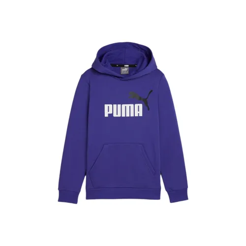 PUMA Essentials+ Два Тон Толстовка Фиолетовый для детей 3-7 лет