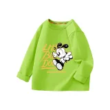 Фруктовый зеленый, прохладный Боб