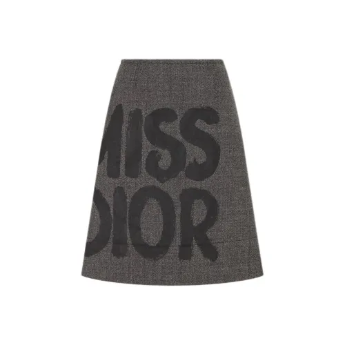 DIOR Серые Женские Повседневные Длинные Юбки