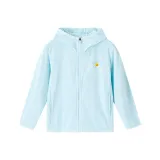 Ледниково-синий