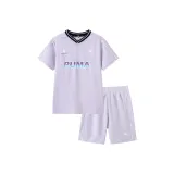 Фиолетовый 70301