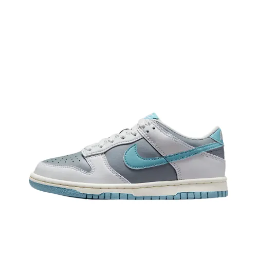 Nike Dunk Low Топ Детские Скейтбординги Серый