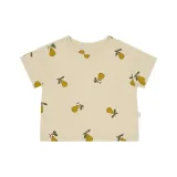 Свежая груша из сада