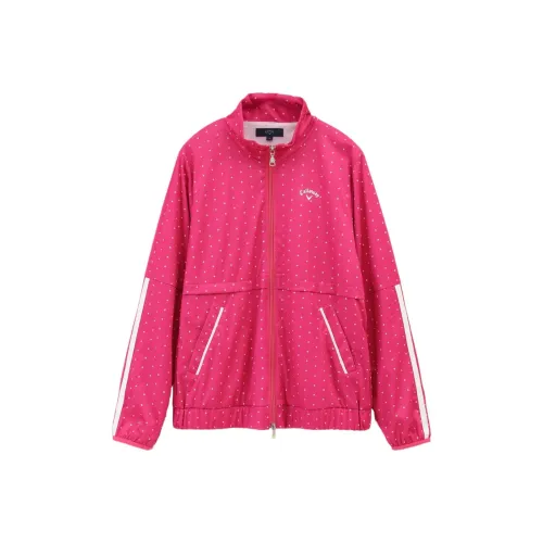 Callaway Гольф Одежда Женская 1 Пачка