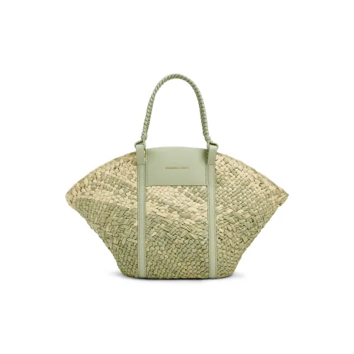 CHARLES KEITH Сумка через плечо среднего размера женская многоцветная