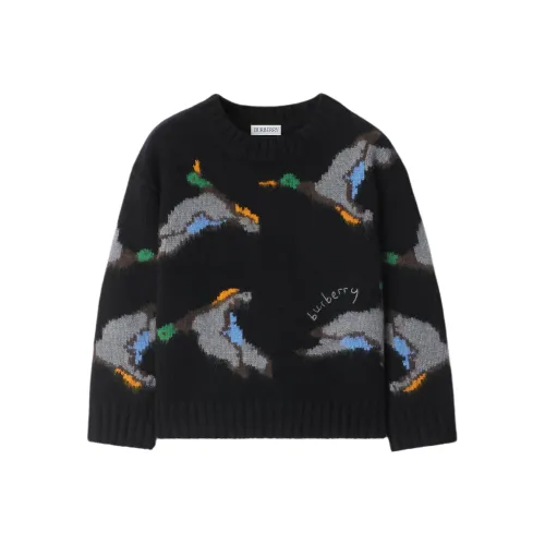 Burberry Свитер FW24 Черный Детский