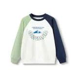 Бирюзовый Тон 00484