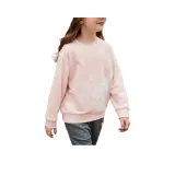 Твёрдая британская пудра