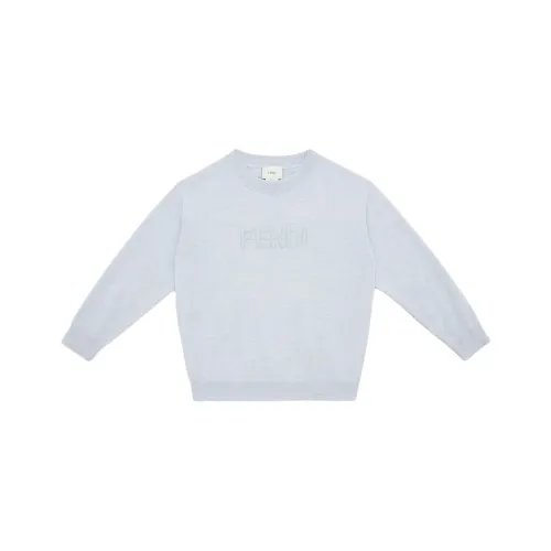 FENDI Синий Kids Свитеры