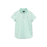 Светло-зеленый