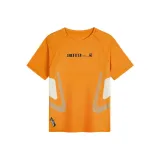 Ришэнг Желтый