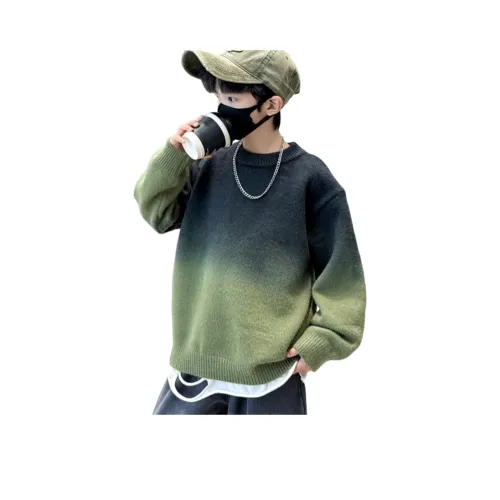 Lanza Свитер Серый Зеленый Подростки