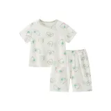 Синий Зеленый