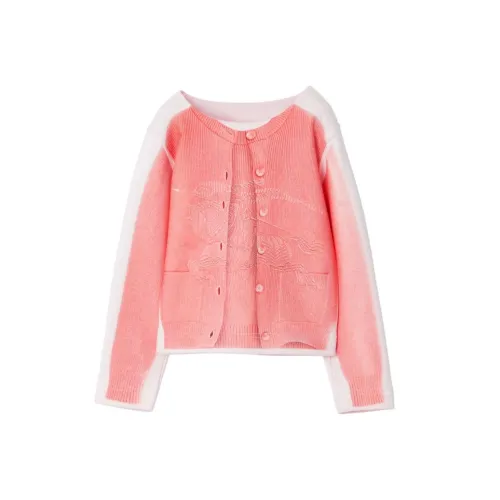 Burberry Свитшот FW23 Розовый Детский