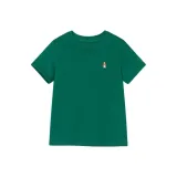 Сосновый зеленый