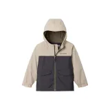 Серый, разноцветный