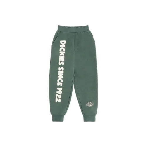 Dickies Kids Спортивные брюки