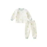 Автомобильный принт