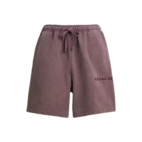 COACH SS25 Повседневные шорты Мужские Фиолетовые