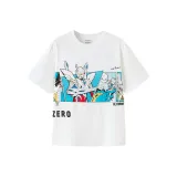 Белый тон 00311