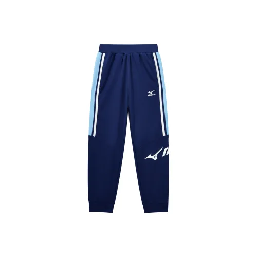 Mizuno Kids Вязаные тренировочные брюки