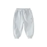 Ледяно-серый