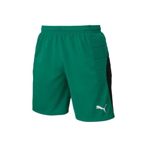 PUMA LIGA GK Шорты Подростки Зеленый