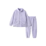 Фиолетовый Тон 00377