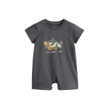 Сталинский серый